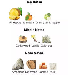 Visual representation of Afnan 9PM Rebel fragrance notes: top, middle, and base notes including fruits and woods.